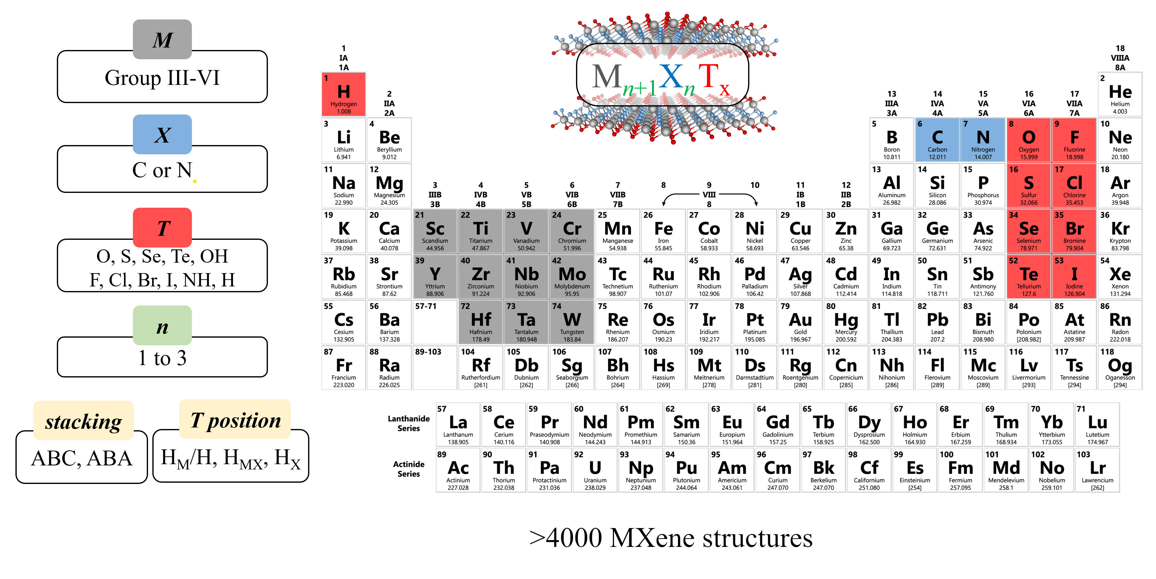 MXene Screening